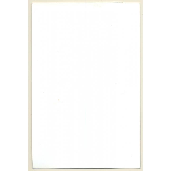 Slim Darlhaired Nude Standing / Wallpaper (Vintage Photo GDR ~1970s/1980s)