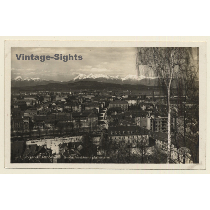 Ljubljana - Laibach / Slovenia: Panorama - Kamniskimi Planinami (Vintage RPPC)