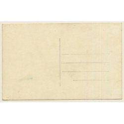 Ljubljana - Laibach / Slovenia: Panorama - Kamniskimi Planinami (Vintage RPPC)