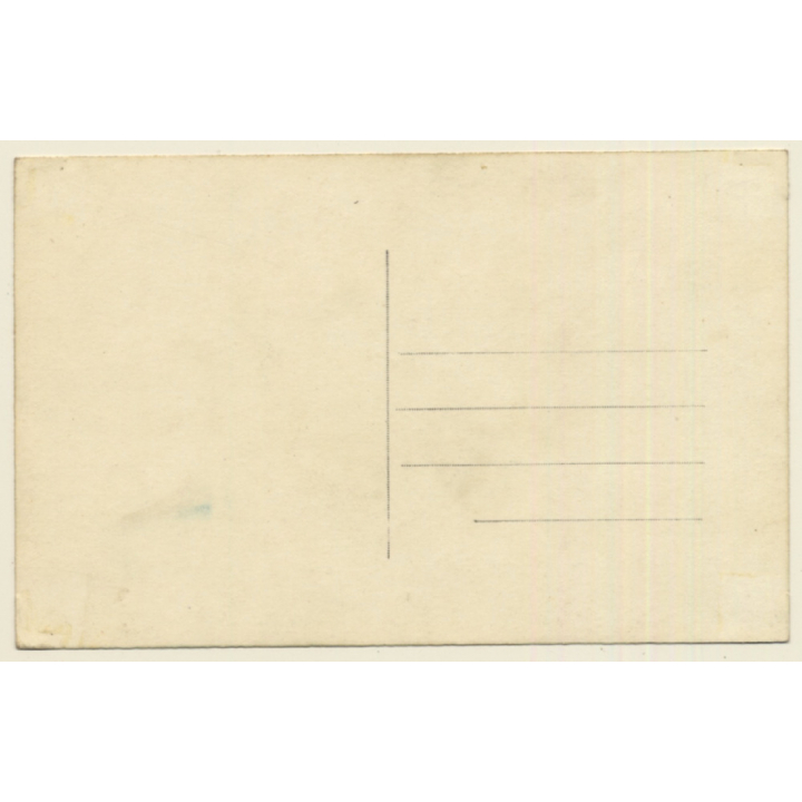 Ljubljana - Laibach / Slovenia: Panorama - Kamniskimi Planinami (Vintage RPPC)