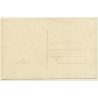 Ljubljana - Laibach / Slovenia: Panorama - Kamniskimi Planinami (Vintage RPPC)