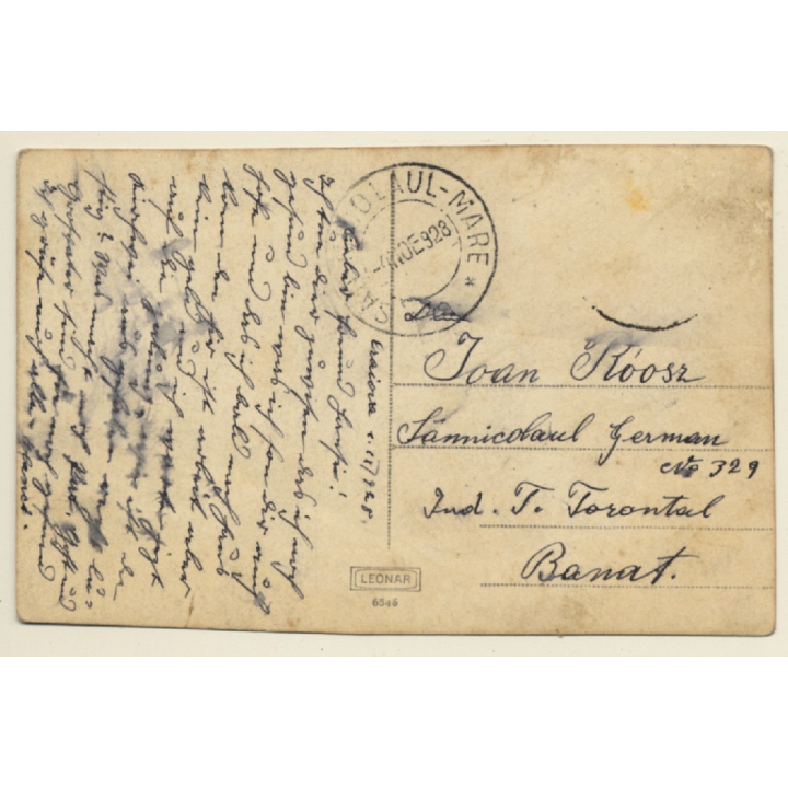 Craiova / Romania: Parcul Bibescu - Podul (Vintage RPPC 1928)