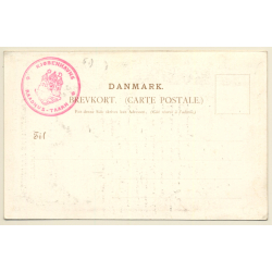 Copenhagen / Denmark: Hilsen Fra - Raadhus - City Hall (Vintage PC 1906)