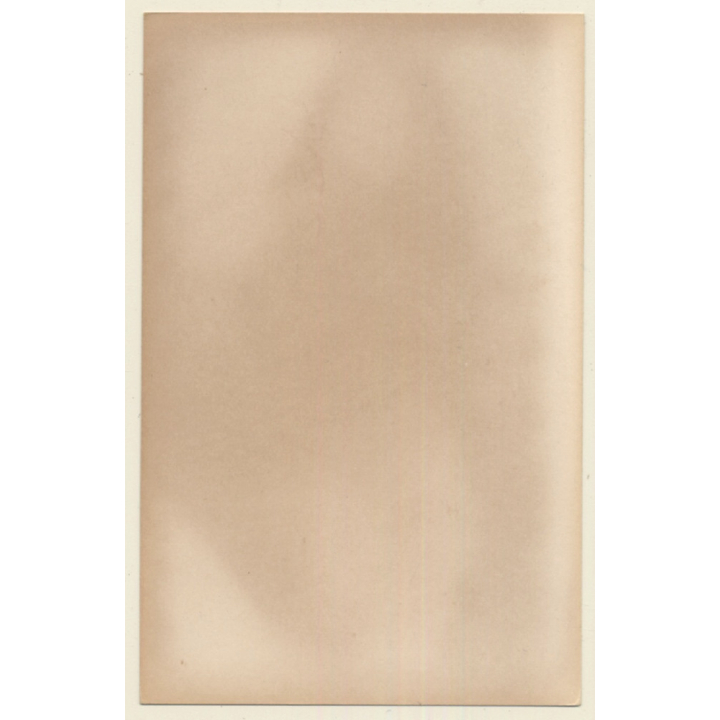 Semi Nude Darkhaired Female Flashing Boobs / Lingerie (Vintage Photo ~1950s/1960s)