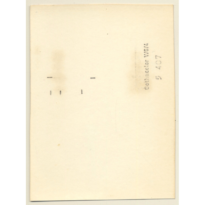 Natural Brunette Nude Standing / Curtains (Vintage Photo GDR ~1980s)