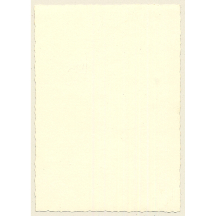 Natural Brunette Nude In Garden / Hairstyle (Vintage Photo ~1950s/1960s)