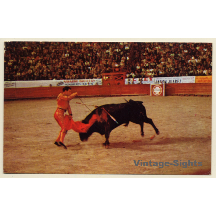 Juarez Bull Ring / Old Mexico: The Kill - Toreo (Vintage Postcard)