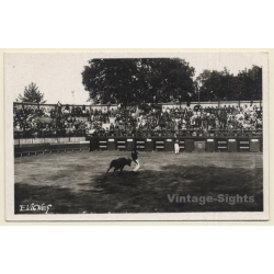 Toréros Landais: Paul Daverat - Martin Ier - Joseph Coran (Vintage RPPC)