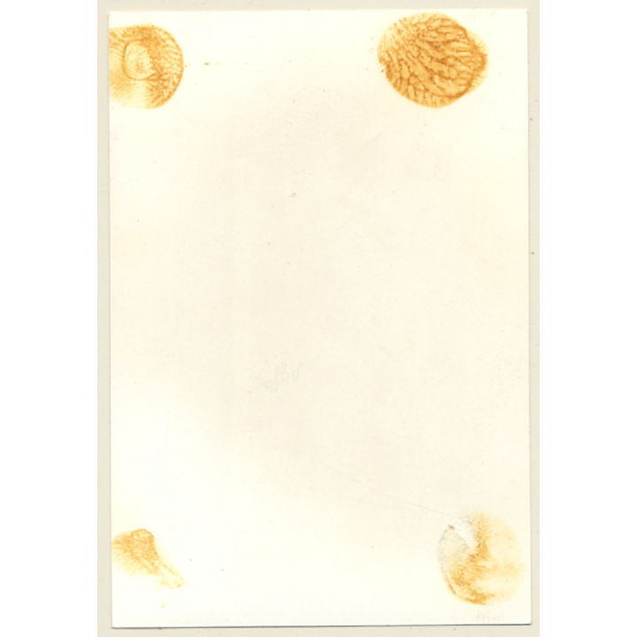 Shorthaired Nude Blonde Looks At Camera / Suspenders (Vintage Photo ~1950s/1960s)