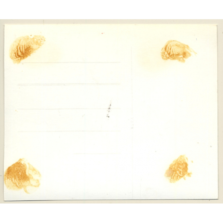 Pretty Blonde Nude In Transparent Negligee / Smile (Vintage Photo ~1950s/1960s)