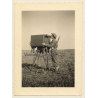 Belgische Armee WW2: Soldat An Kommando Hilfsgerät / Flak-Batterie (Vintage Photo ~1940s)