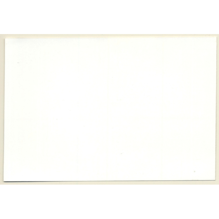 Artistic Take Of Semi Nude Blonde In White Bra (Vintage Photo GDR ~1980s)