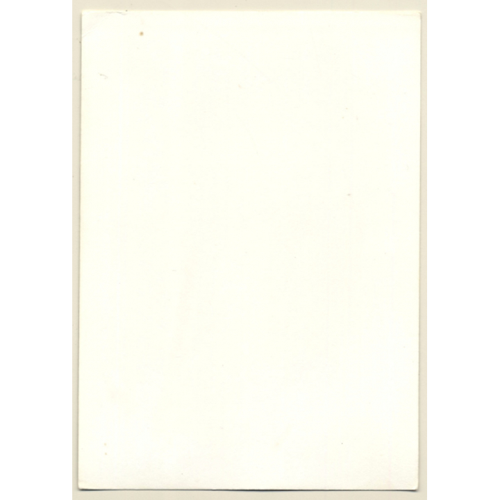 Natural Brunette Nude On Chair / Glasses (Vintage Photo GDR ~1980s)