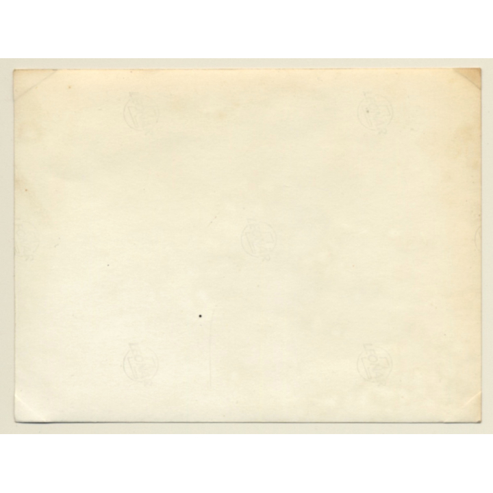 Rallye Monte Carlo 1964: N°235 Mercedes Benz 220 SE / Pape - Eger (Vintage Photo)