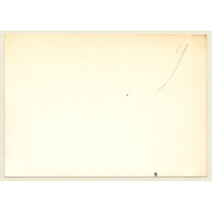 24 Hours Of Le Mans 1964: Start Phase N°57 Alfa Romeo Giulia TZ N°46 Alpine M64 (Vintage Photo)