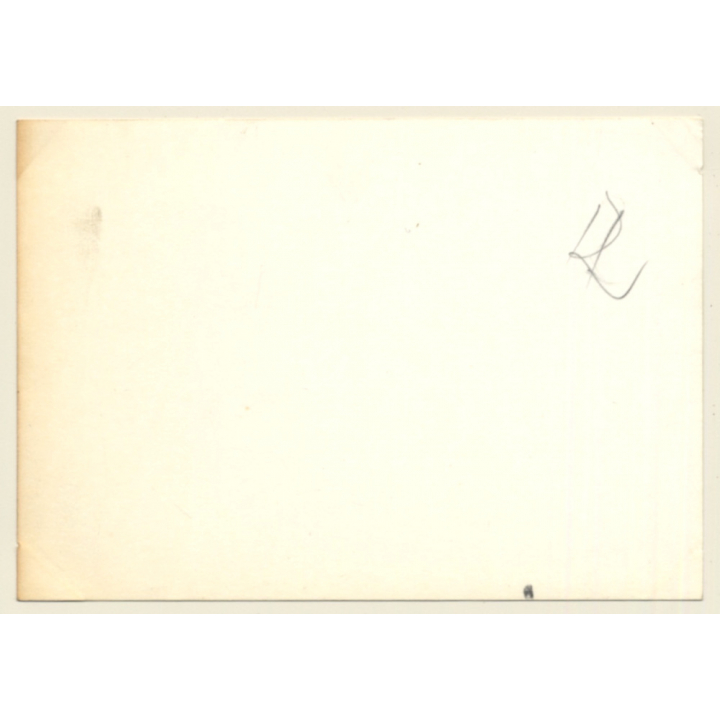 24 Hours Of Le Mans 1964: Start Phase Unidentified Racing Cars (Vintage Photo)