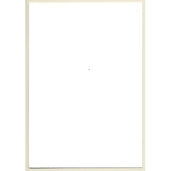 Natural Dreamy Nude Brunette With Fishnets (Vintage Photo GDR ~1980s)