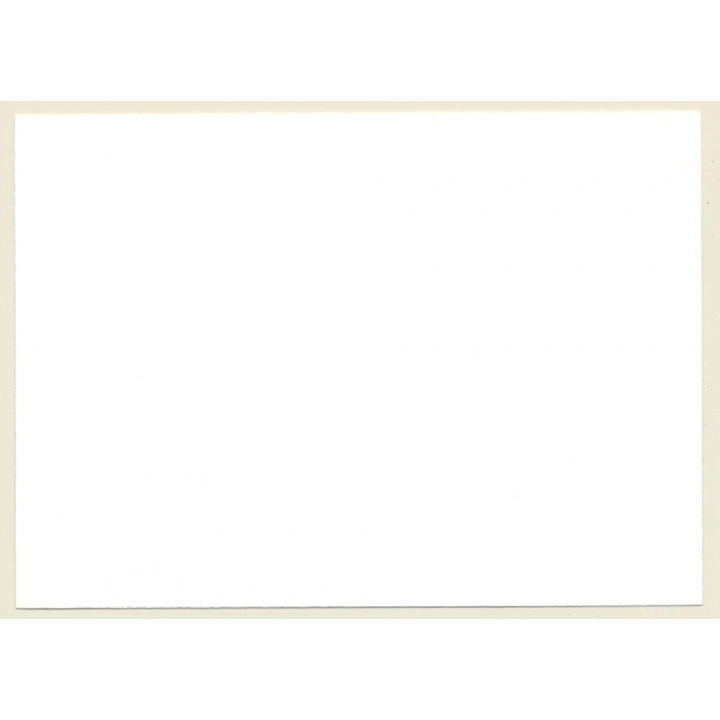 Natural Dreamy Nude Brunette With Fishnets *2 (Vintage Photo GDR ~1980s)