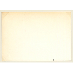 24 Hours Of Le Mans 1964: Race N°49 & N°65 Triumph Spitfire (Vintage Photo)