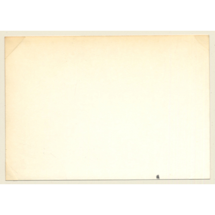 24 Hours Of Le Mans 1964: Race N°49 & N°65 Triumph Spitfire (Vintage Photo)