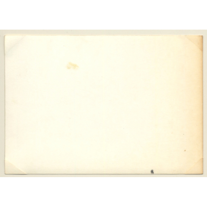 24 Hours Of Le Mans 1964: Race N°59 Alpine N63B N°46 Alpine M64 (Vintage Photo)