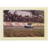 24 Hours Of Le Mans 1964: Race N°5 A.C.Shelby Cobra / Gurney - Bondurant (Vintage Photo)