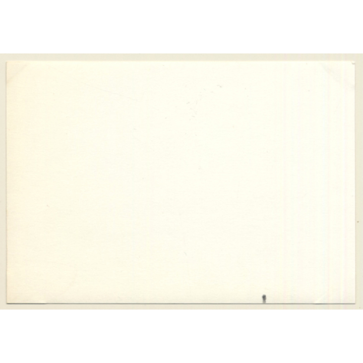 24 Hours Of Le Mans 1964: Race N°5 A.C.Shelby Cobra / Gurney - Bondurant (Vintage Photo)