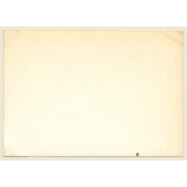 24 Hours Of Le Mans 1964: Race N°6 A.C. Shelby Cobra / Amon - Neerpasch (Vintage Photo)