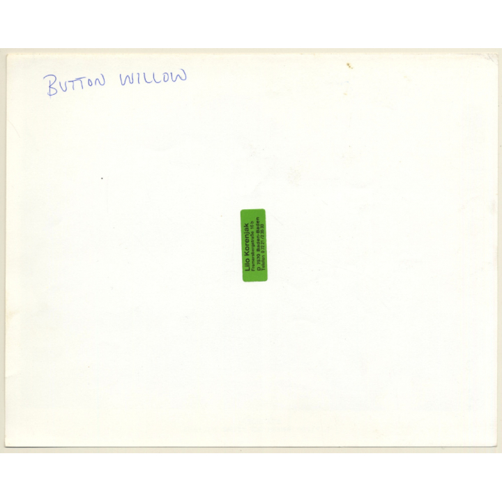 Sterling Frazier: Starhops (Vintage Movie Still Photo 1978)