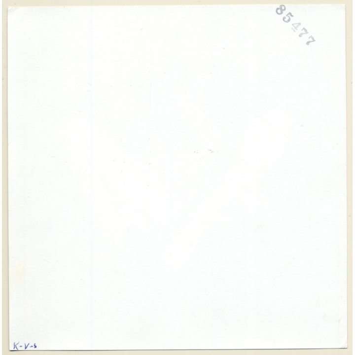 Erotic Study: Lascivious Semi Nude On Leather Couch*1 / Pearl Necklace - Nylons (Vintage Photo KORENJAK 1970s/1980s)