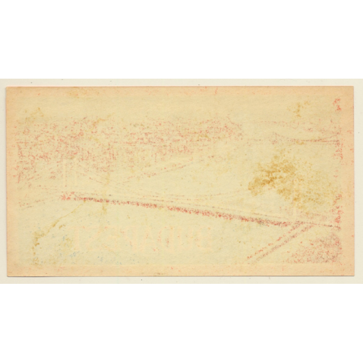 Budapest / Hungary: Elisabeth Bridge (Vintage Luggage Label)