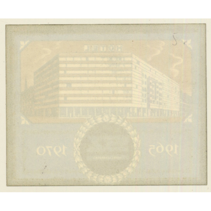 Budapest / Hungary: Hotel Szabadsag (Vintage Luggage Label)