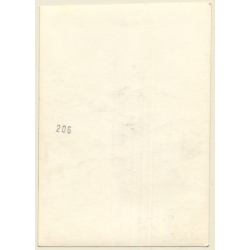 Natural Topless Female *3 / Rear View - Back (Vintage Photo France ~1940s/1950s)