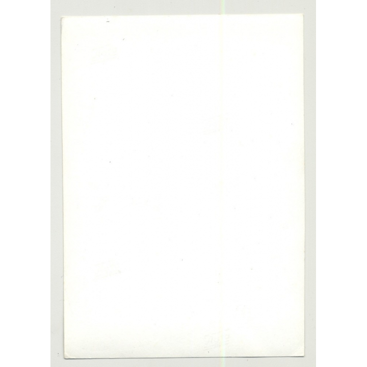 Semi Nude Shortaired Woman / Skirt (Vintage Photo B/W DDR ~1980s)