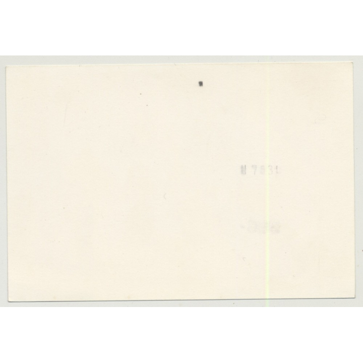 Upper Half Of Busty 80s Nude (Vintage Photo B/W DDR ~1980s)