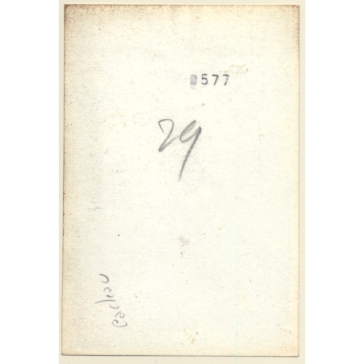 Slim Natural Nude In Garden *3 / Behind Bush (Vintage Photo France ~1940s/1950s)