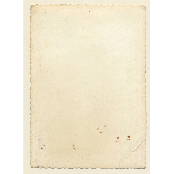 4 Topless German Soldiers In Trench / Gay INT (Vintage Photo ~1940s)