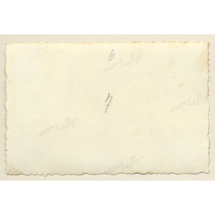 Bunch Of Semi Nude Soldiers In Trunks / Gay INT (Vintage Photo ~1940s)