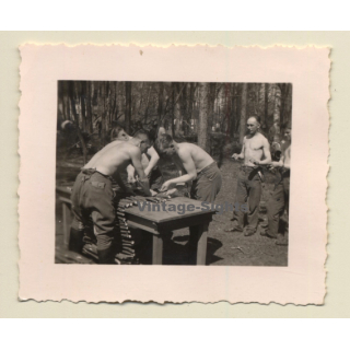 Topless German Soldiers In Forest / Gay INT (Vintage Photo 1930s/1940s)
