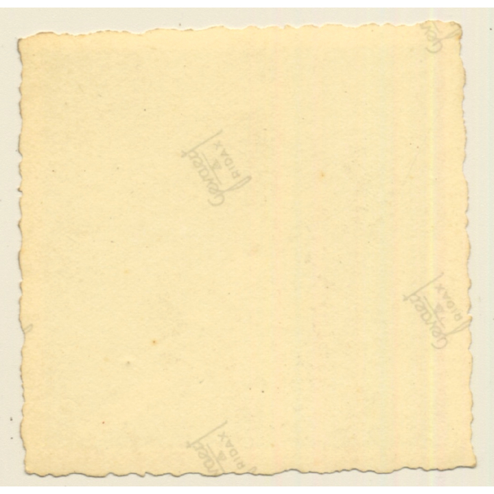 German Soldier Playing Accordion - Deutsche Reichsbahn / Gay INT (Vintage Photo 1930s/1940s)