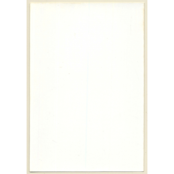 Slim Mistress In Her Studio*8 / Lacquer Outfit - Maid - BDSM (Vintage Photo ~1990s)