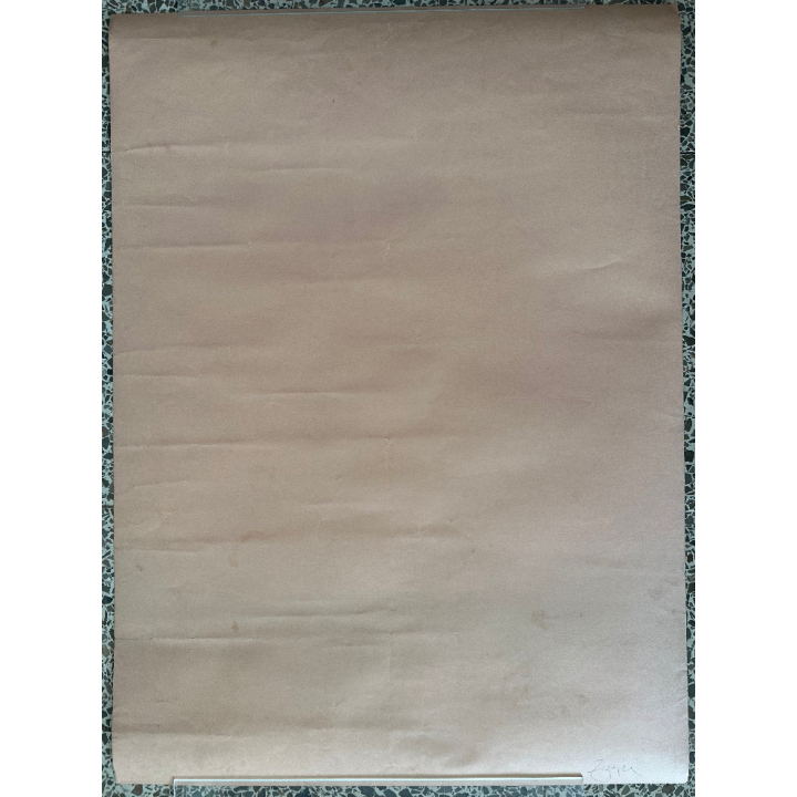 Frank Zappa: Zappa On The Crapper / Toilet (Rare Vintage Poster ~1960s/1970s)