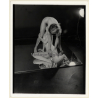 Erotic Study By T.Liori: 2 Nude Girlfriends On Mirror *7 / Lesbian INT (Vintage Photo KORENJAK 1970s/1980s)