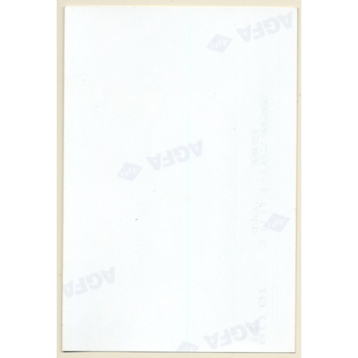 Pretty Darkhaired Semi Nude In Transparent Lingerie (Vintage Photo ~1990s)