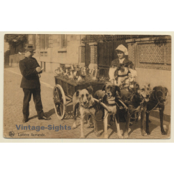 Belgium: Laitière Flamande - Gendarm - Chiens (Vintage PC 1910s)