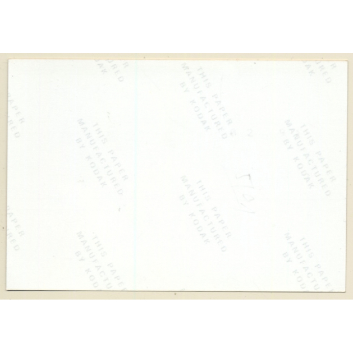 2 Darkhaired Nudes On Blanket / Suspenders - Nylons (Vintage Photo ~1990s)