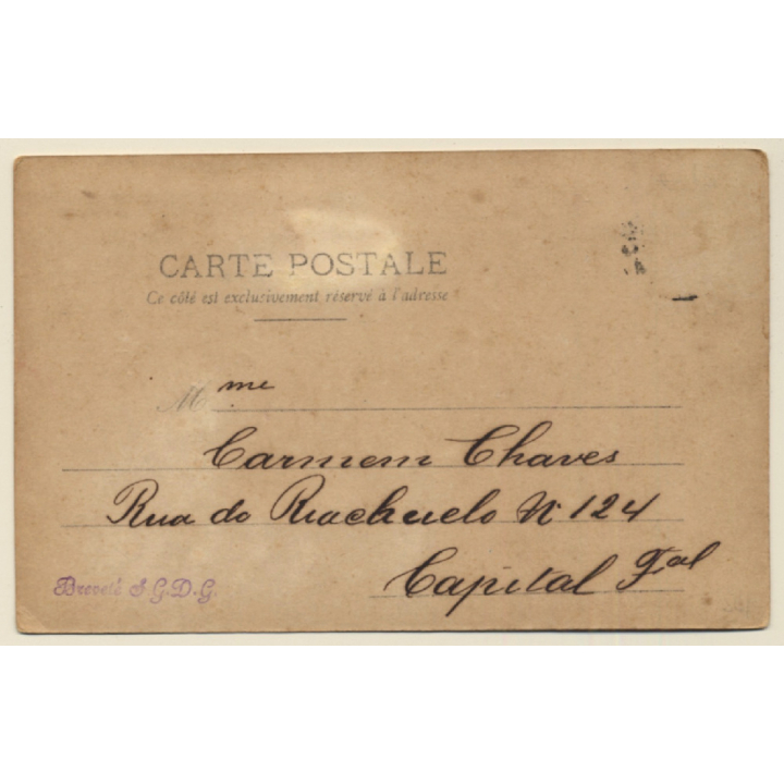 Portrait Of Pretty Lady With Fashionable Hair Accessories (Vintage Glitter PC 1905)