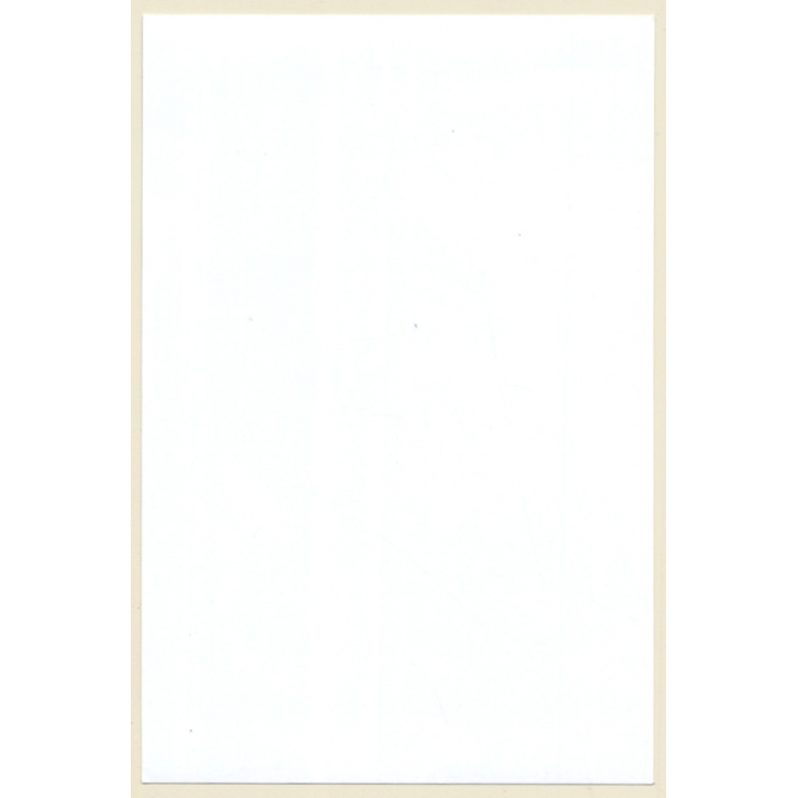 Erotic Study: Natural Blonde Nude With Feather Duster (B/W Photo ~2000s)