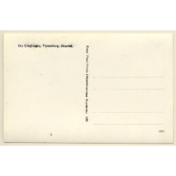 Finkenberg / Zillertal: Die Grünberger Musikkapelle / Sawing - Harp (Vintage RPPC 1931)