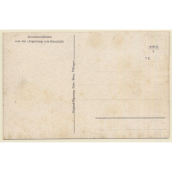 Black Forest: Schwarzwälderin Aus Neustadt / Tracht (Vintage PC)